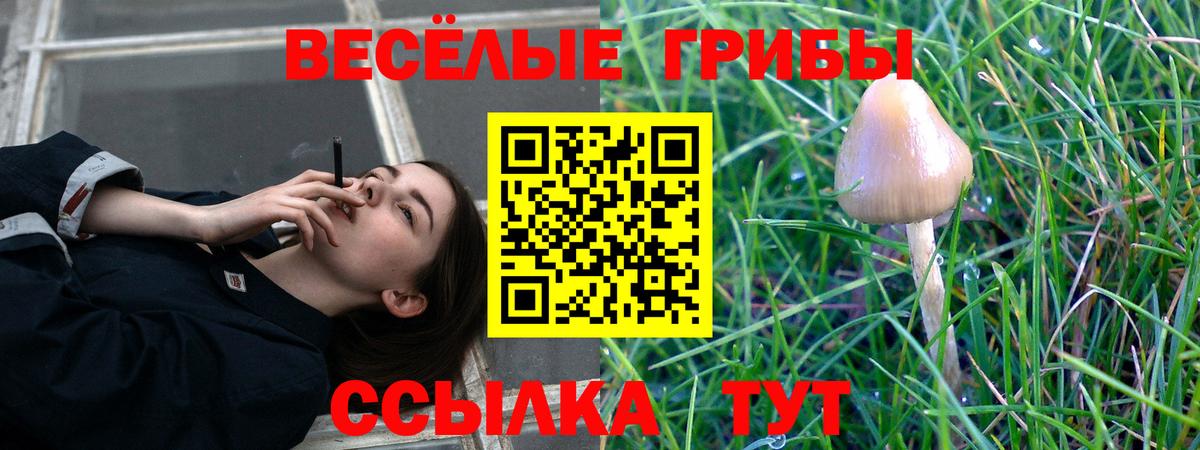 Псилоцибиновые грибы мицелий Ижевск
