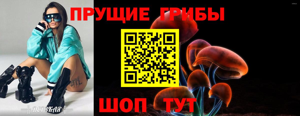 Псилоцибиновые грибы Psilocybine cubensis  Вход с VPN  Ижевск  купить наркоту  Псилоцибиновые грибы Magic Shrooms 